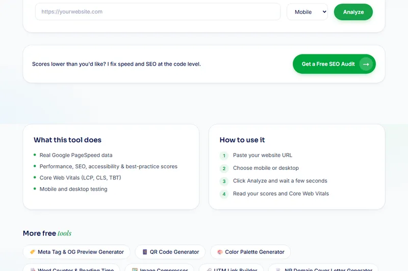 Website Speed & SEO Checker interface